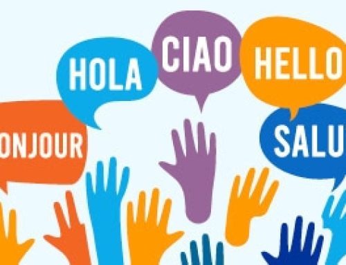 Beyond Words: Why Language Access Matters